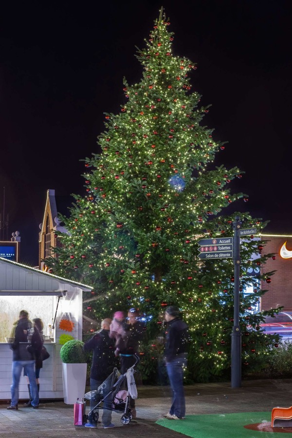 Grand sapin de Noël illuminé sur place publique nocturne